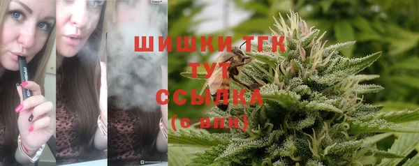 ALPHA PVP Дегтярск