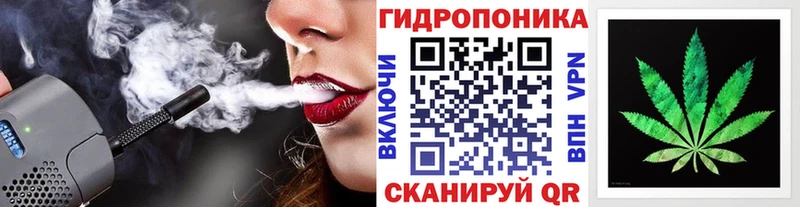 Канабис SATIVA & INDICA  магазин продажи наркотиков  Олонец 